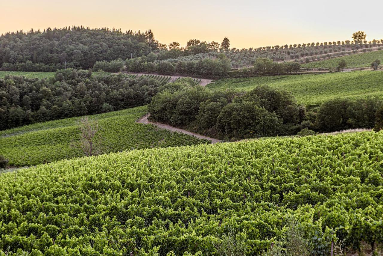 Vila Agriturismo Concadoro Castellina in Chianti Exteriér fotografie