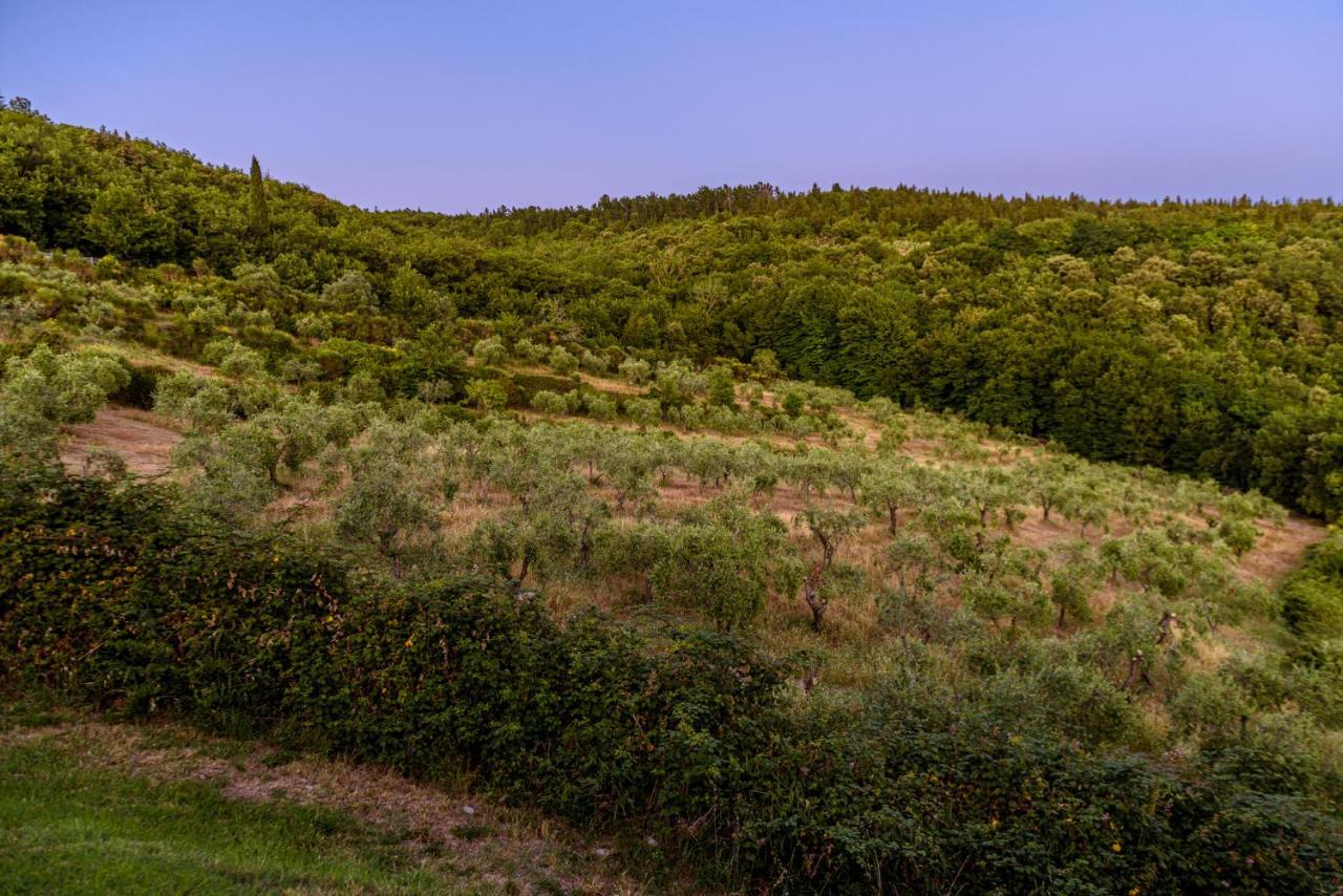 Vila Agriturismo Concadoro Castellina in Chianti Exteriér fotografie