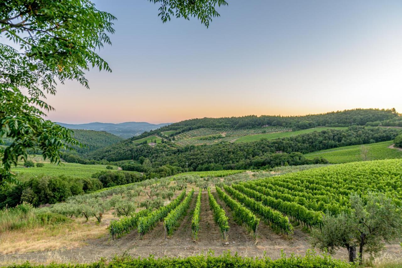 Vila Agriturismo Concadoro Castellina in Chianti Exteriér fotografie