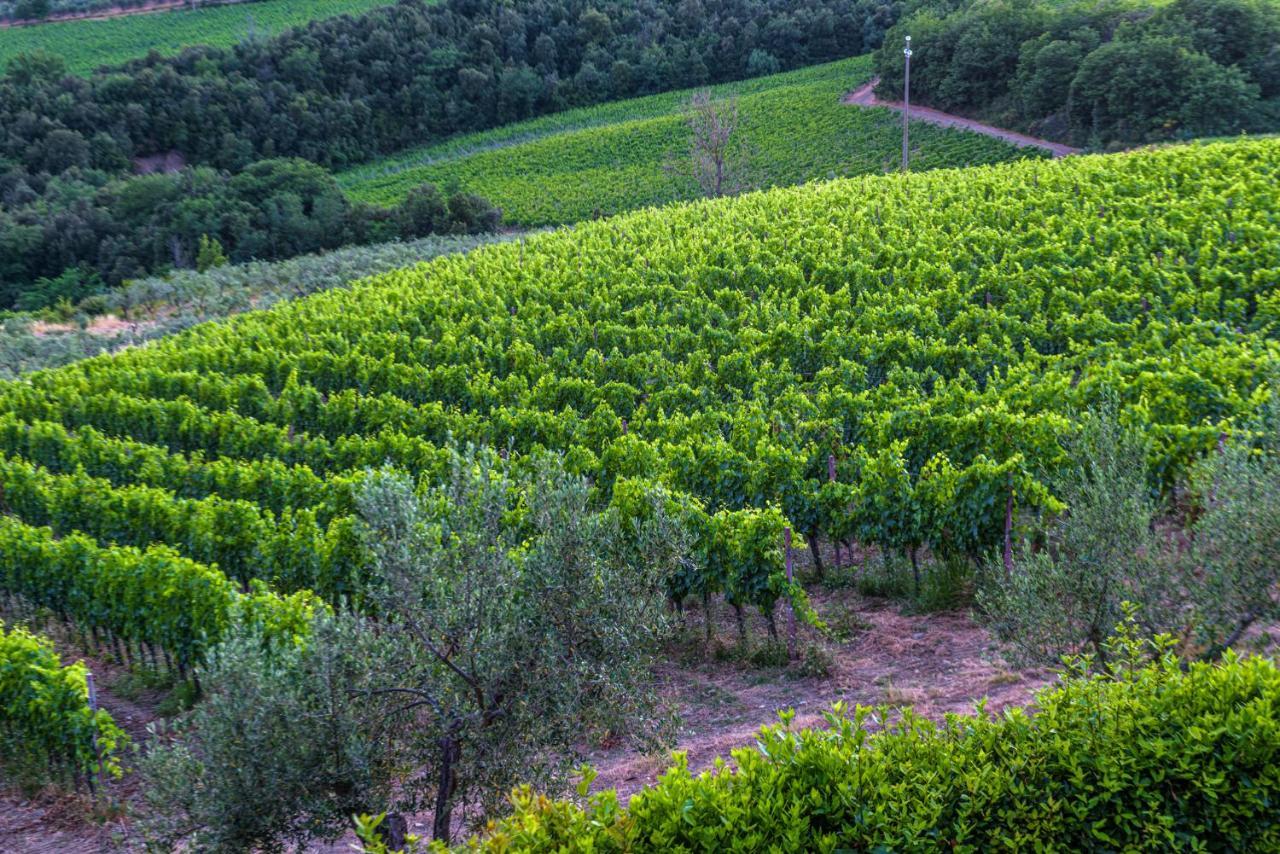 Vila Agriturismo Concadoro Castellina in Chianti Exteriér fotografie